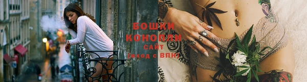 гашик Вязники