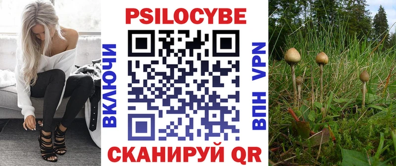 Псилоцибиновые грибы GOLDEN TEACHER  Сурск 